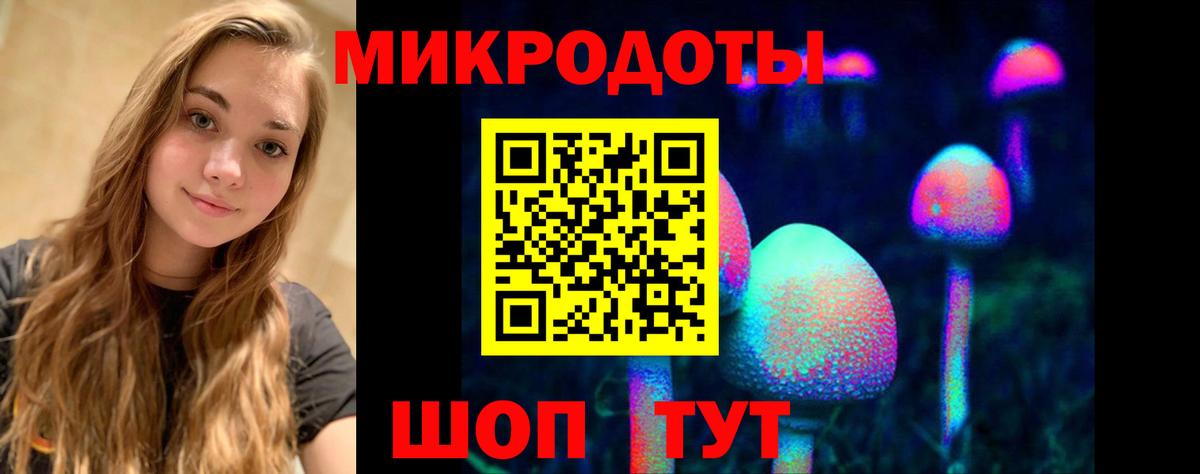 Галлюциногенные грибы прущие грибы  Вход с VPN  Кисловодск 
